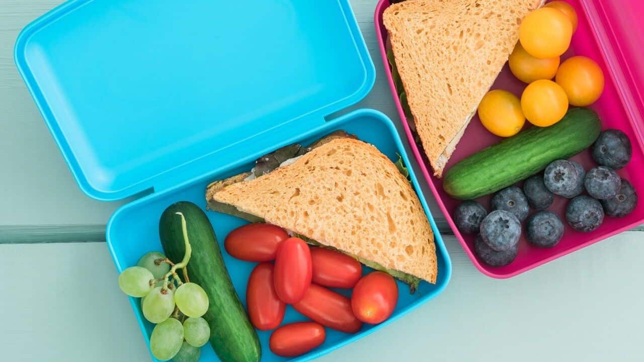 autism nutrition school